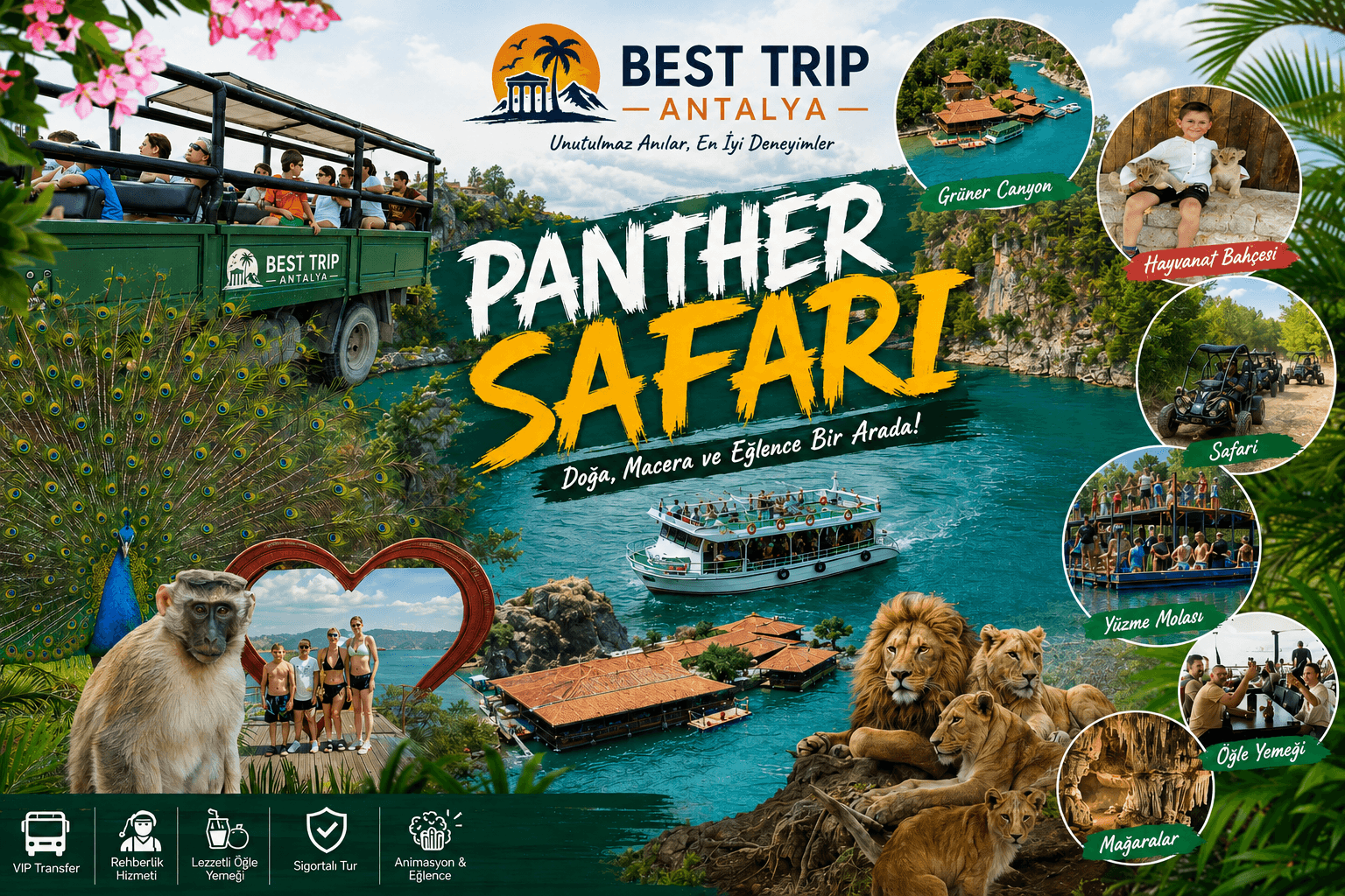 Panther Safari